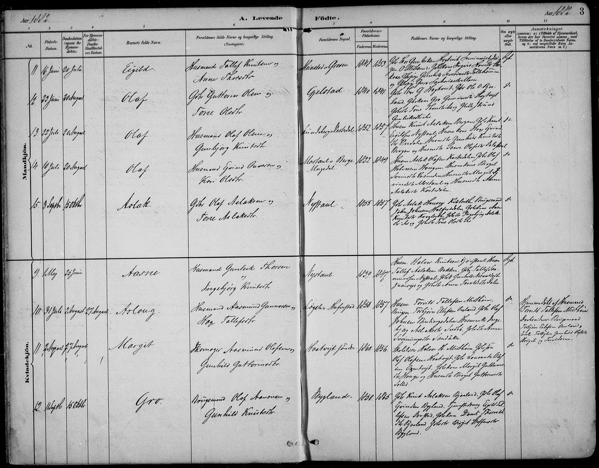 Birth Record